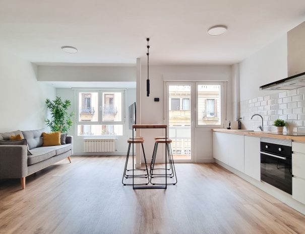 SUITE EGIA APARTAMENTO VACACIONAL DONOSTIA SAN SEBASTIAN APARTAMENTO TURÍSTICO DONOSTIA SAN SEBASTIAN